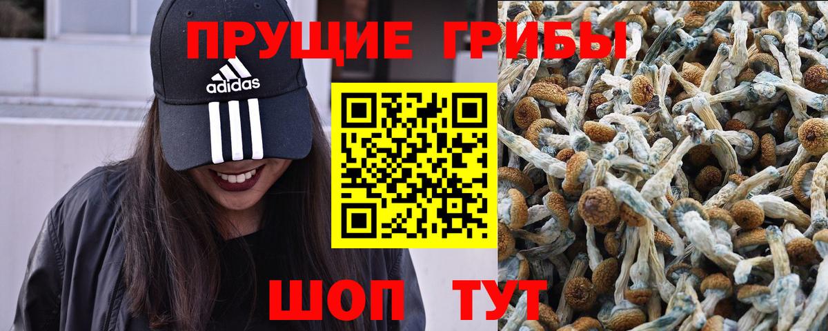 Псилоцибиновые грибы ЛСД Медногорск