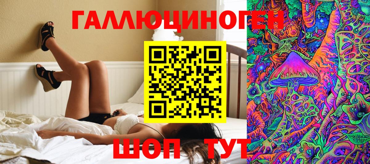 Медногорск  Псилоцибиновые грибы ЛСД  Псилоцибиновые грибы прущие грибы  Вход с VPN 